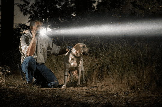 image of a man shines a powerfully bright tactical flashlight in the woods with his dog