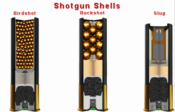 Shotgun Ammo Chart