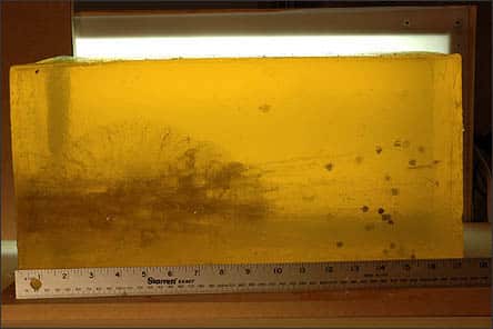 Image of a Buckshot fired into ballistic gel