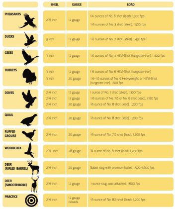 Shotgun Shell Sizes: Comparison Chart and Commonly Used Terms