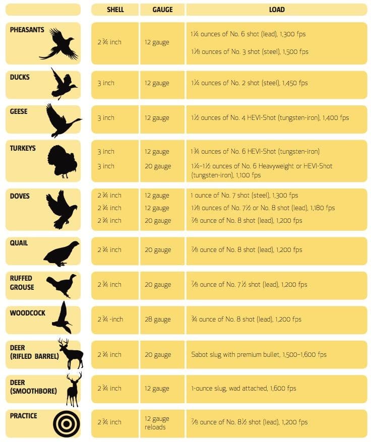 Buckshot Size Comparison Chart