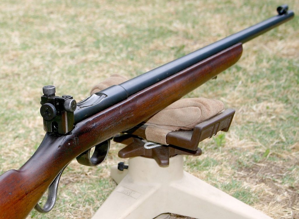 10 Best .22 Rifles For the Money in 2022