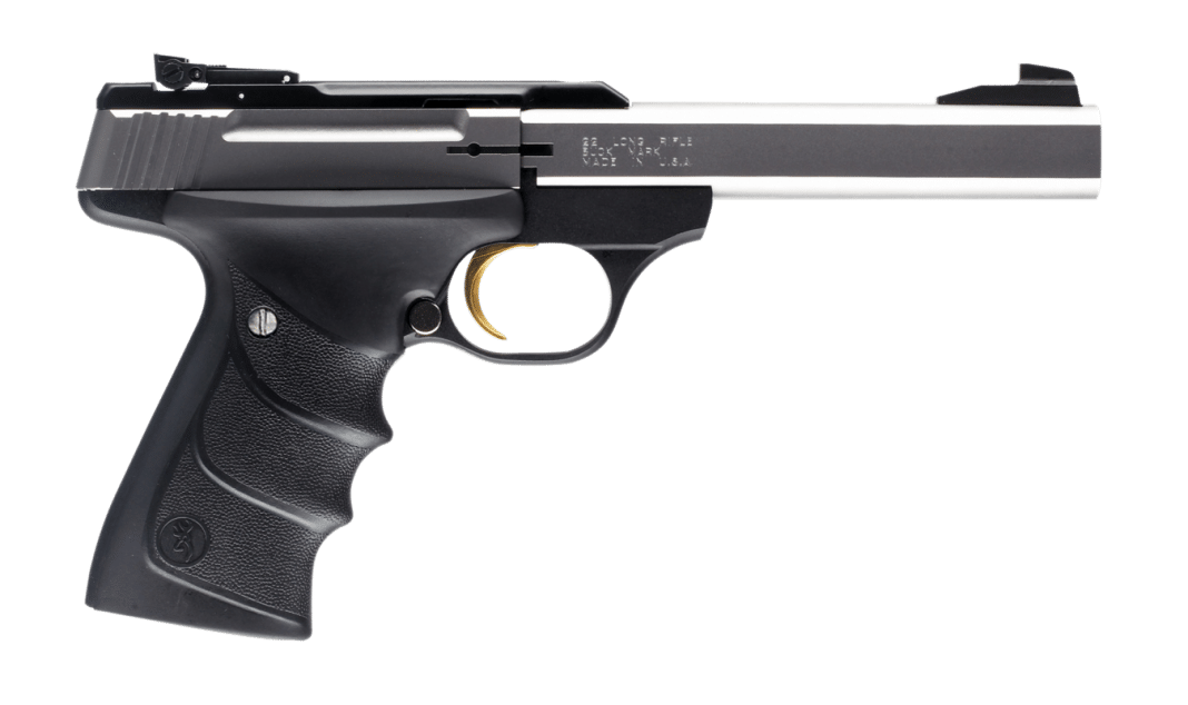 6 Best 22 Pistols in 2021 (For Nearly Any Situation)