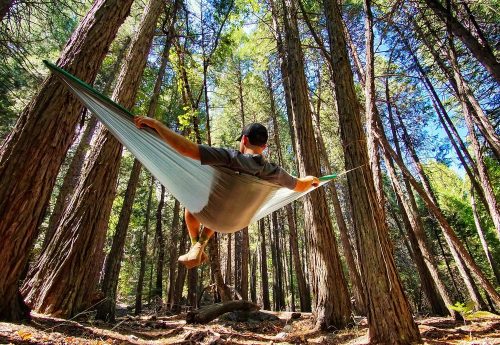 Backpacker Hammock