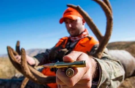calibers for a big game hunting rifle