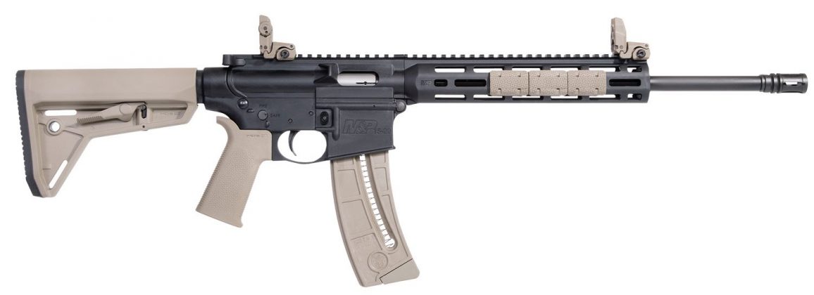 10 Best .22 Rifles For the Money in 2022