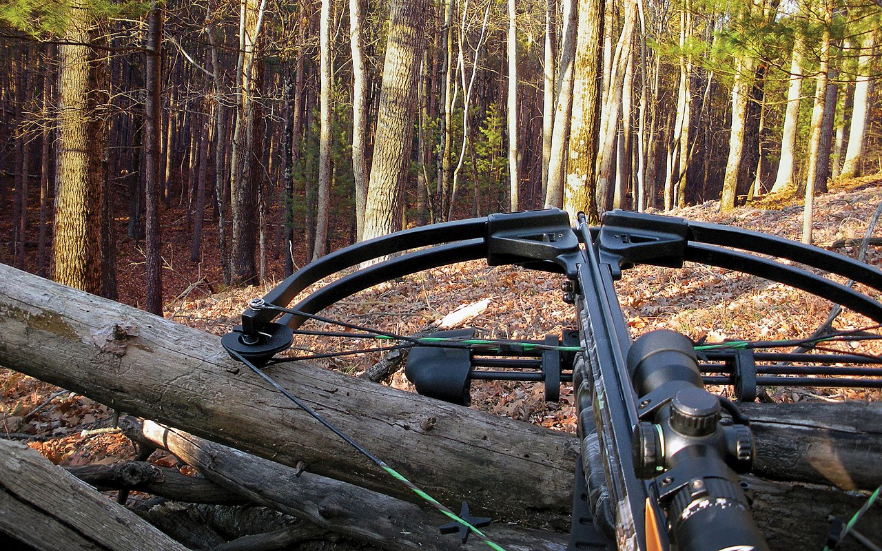 image of a crossbow used for hunting