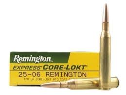 25 06 Remington Vs 243 Winchester The Better Overbore