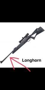 Beeman Longhorn Rifle