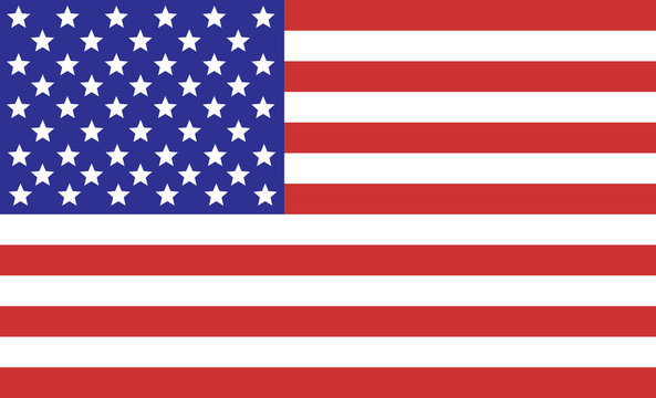 Gun News Daily American Flag