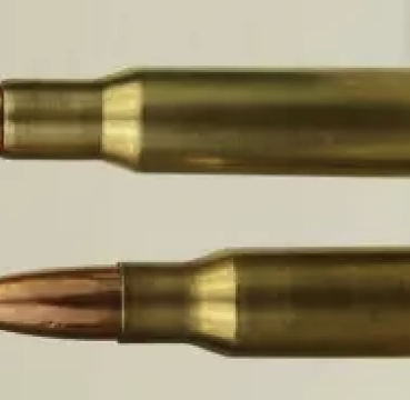 308 vs 3006 FI