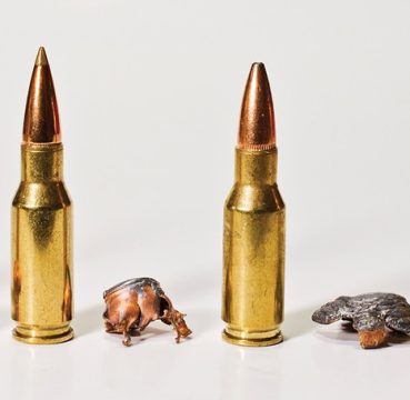 AR-15 Ammunition in different specifications