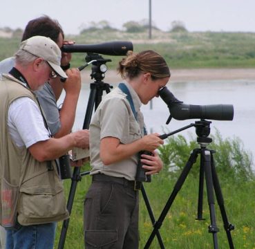 Birders using spotting scopes