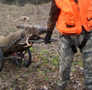 Hunting Game Cart