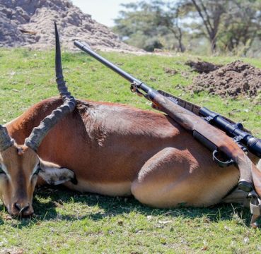 big game rifle for hunting