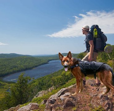 bug out bag for dogs