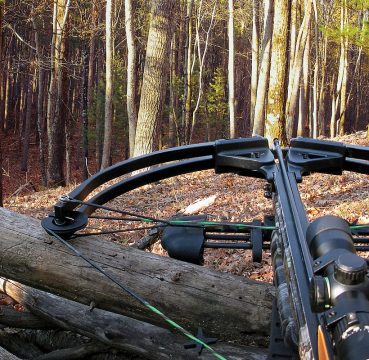 image of a crossbow used for hunting